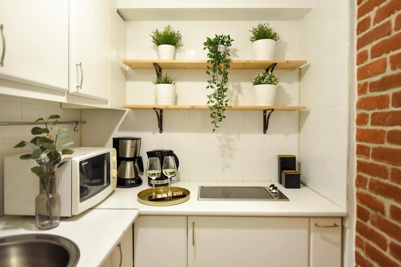 Wonderful View Studio On Calea Victoriei - Homey Residence Bucharest Apartment